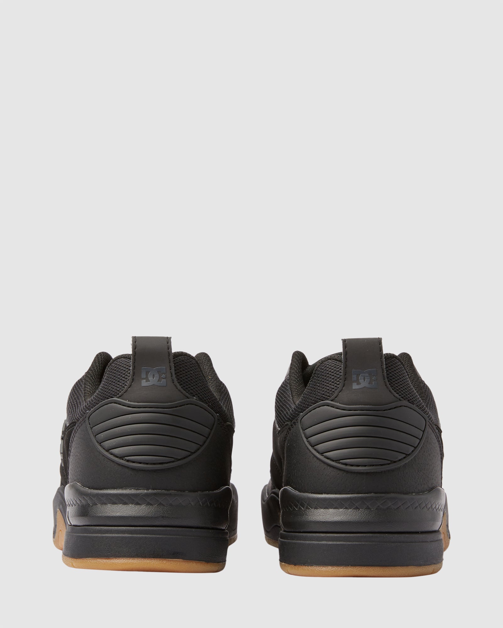 Mens DC Ascend Sneakers