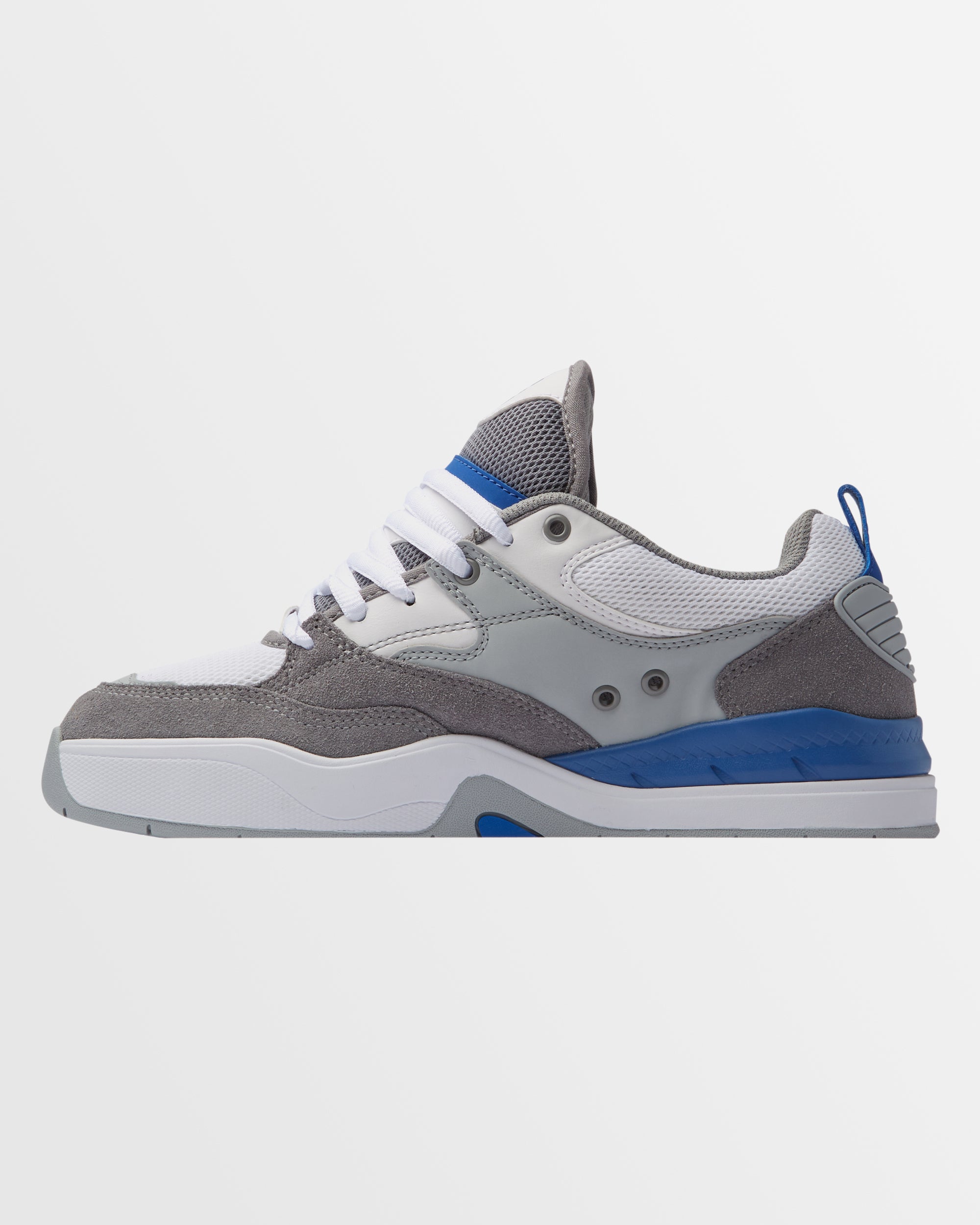 Mens DC Ascend Shoes