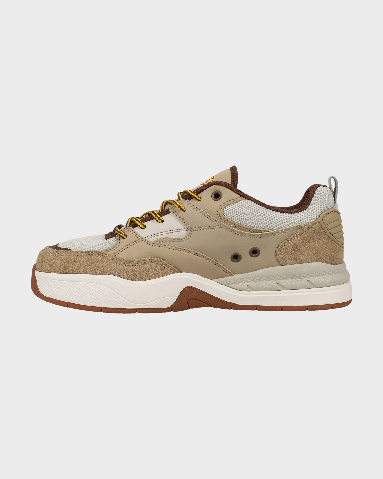 Mens DC Ascend LE Skate Shoes