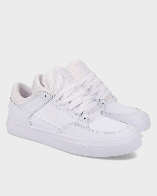 Mens Onyx Skate Shoes